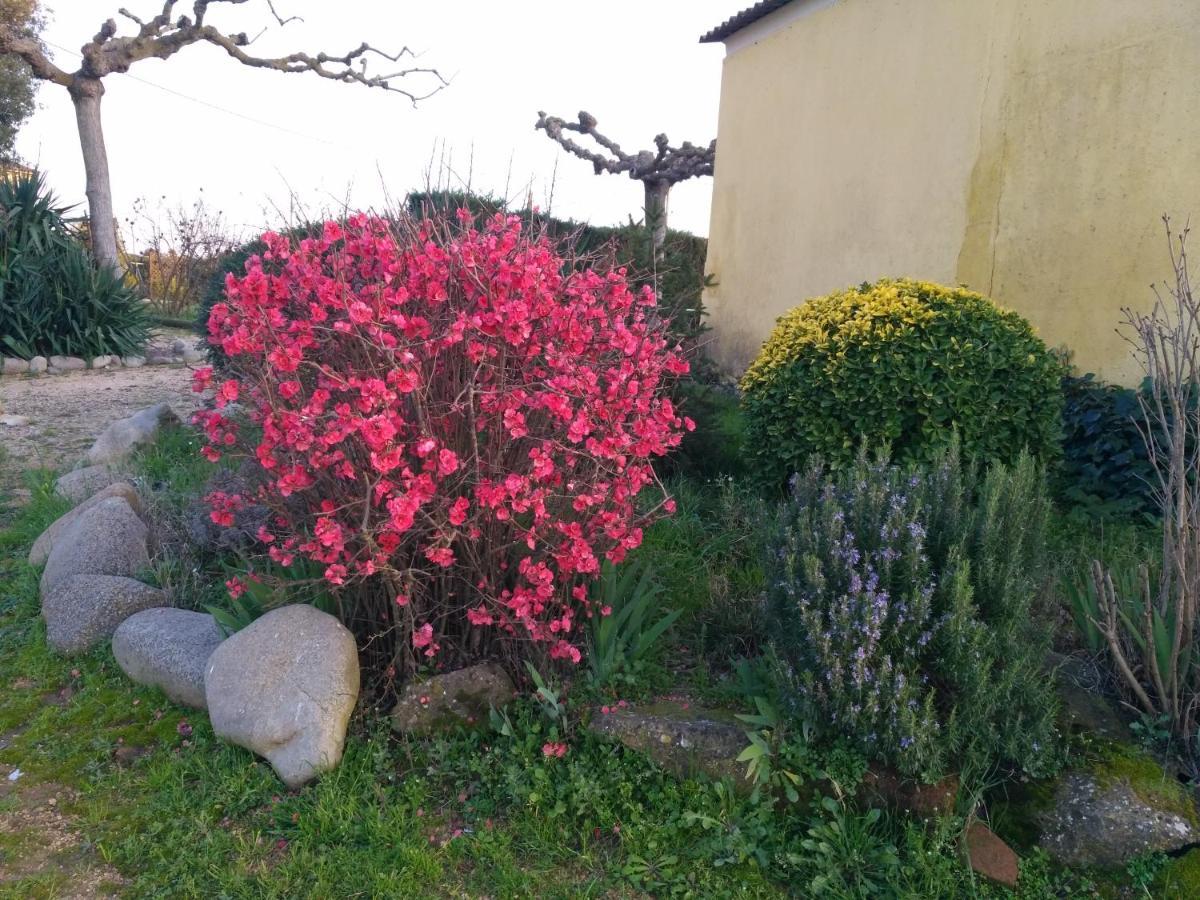 Casa Rural "Can Abres" Vilobi D'Onyar Girona Viloví de Oñar Екстериор снимка