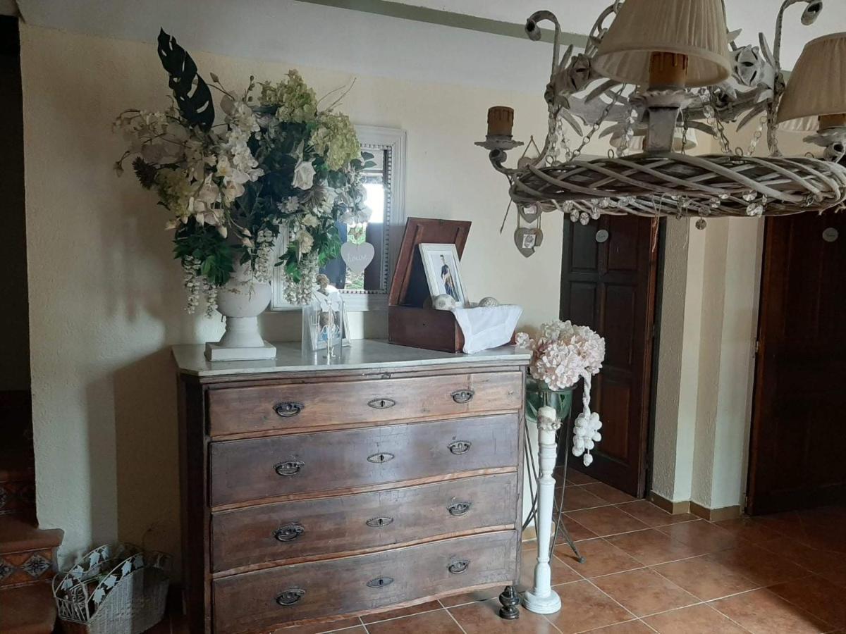Casa Rural "Can Abres" Vilobi D'Onyar Girona Viloví de Oñar Екстериор снимка